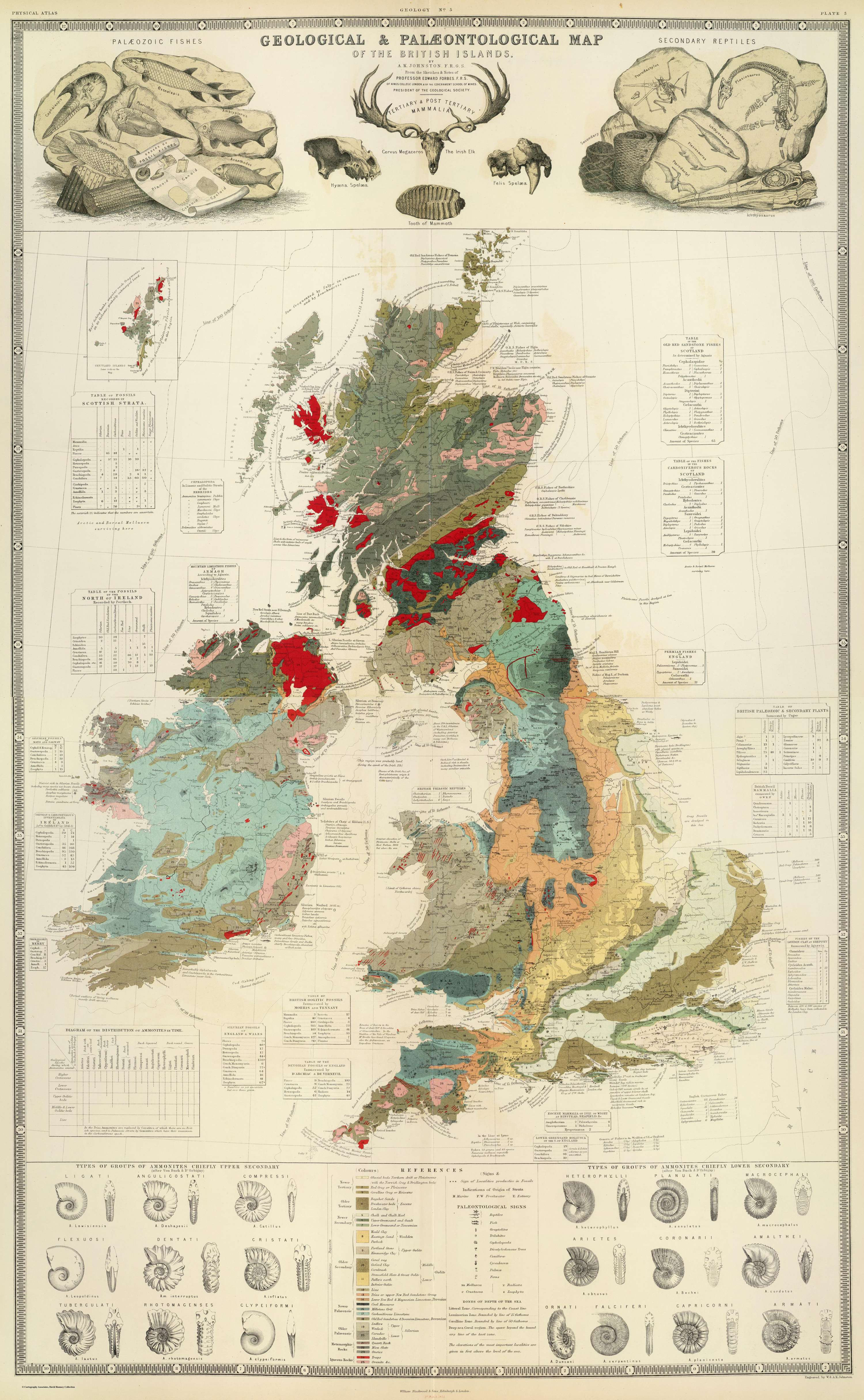 Geological, palaeontological map British Islands